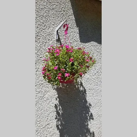 Le Carot : De Montagne Independant Et Calme * Campan